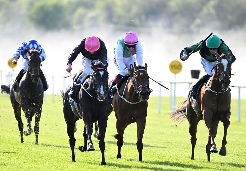 First Instinct and Chris Hayes (second left) 