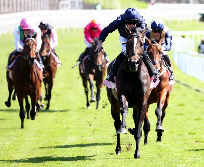 Convergent (right, partly hidden) seen here chasing home Lambourn at Chester