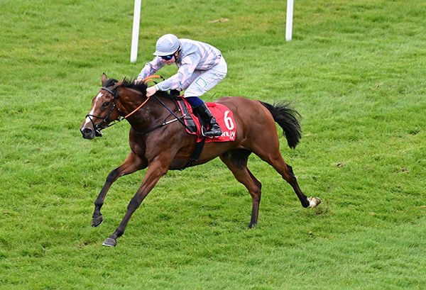 Cala Bonita and Robert Whearty. 