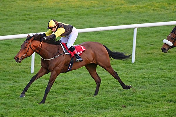 Hemight and Sylvia O'Donnell. 