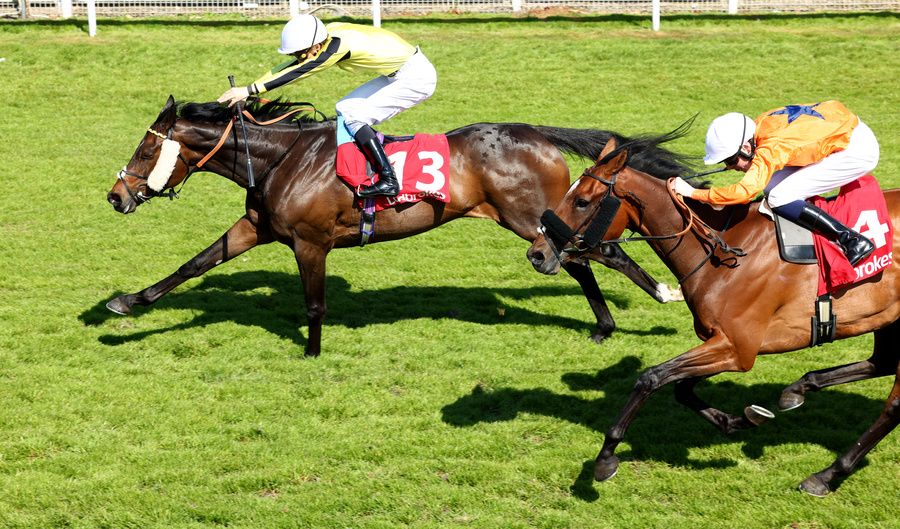East India Dock, far side