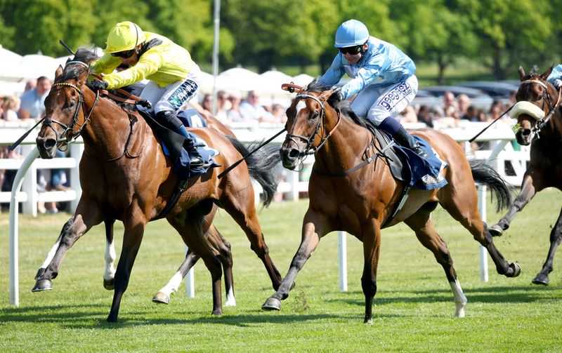 Great Generation is being aimed at the July Cup by trainer Marco Botti 