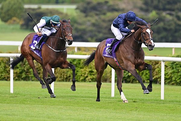 11-5-25 Leopardstown.Butterfly Wings and Wayne Lordan win the It's Family Day At Leopardstown Fillies Maiden.Healy Racing Photo