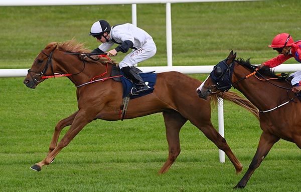 Gangsta Man holds Northern Attitude