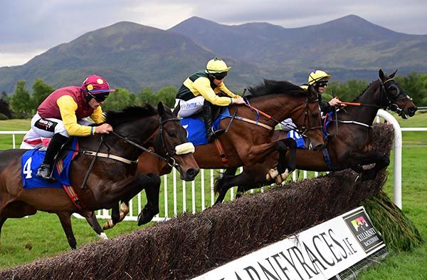 Bartlemy Boy and Shane Cotter, centre