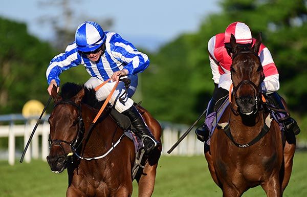 Ilbdare (left) is ridden out by Phillip Enright to beat Arrycan