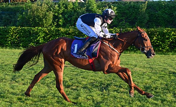 Cosmos D'ainay and Josh Williamson 