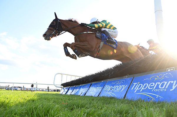 Gimme A Buzz makes the best way home