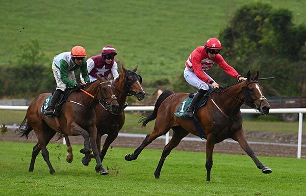 Sights Unseen is driven home