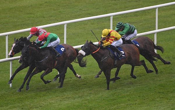 Apercu and Billy Lee. 