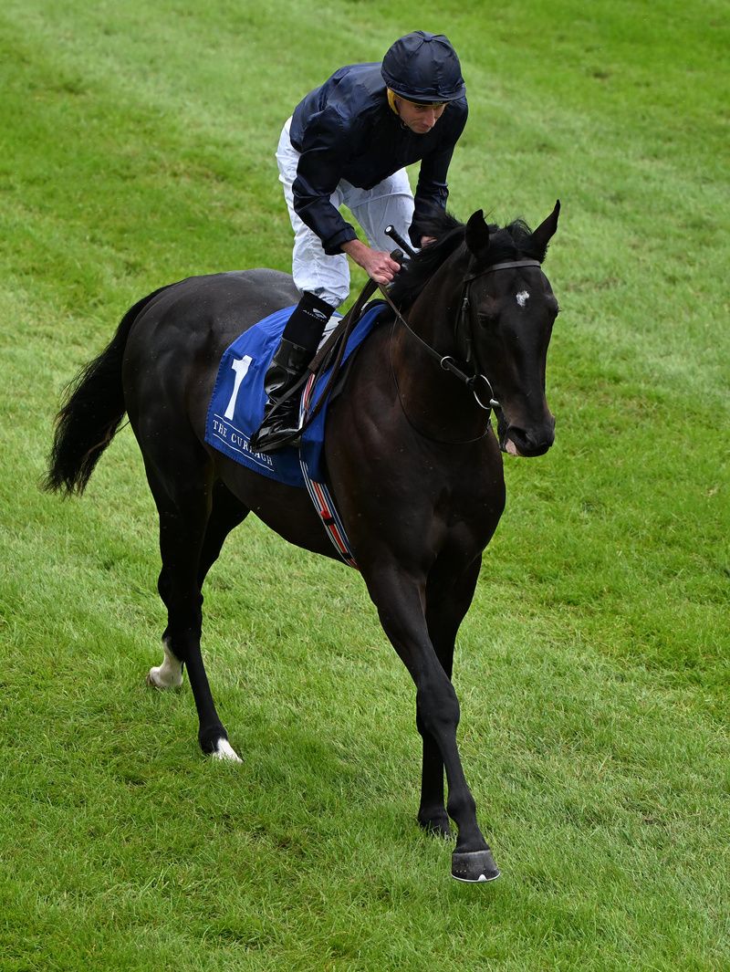 Brussels is a leading contender for Tipperary feature race