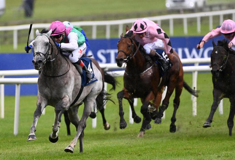 Under Shane Foley in the pink and black silks Hotazhell made a fine reappearance behind Field Of Gold at the Curragh