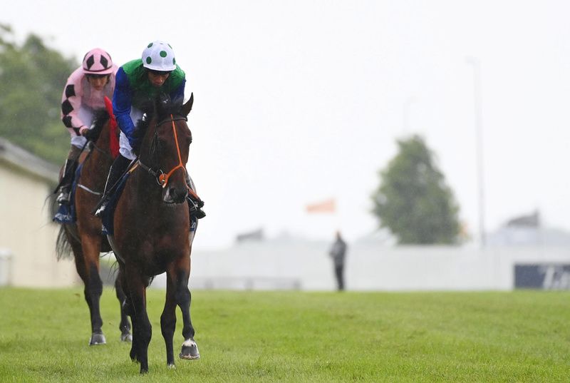 Rashabar will put his stamina to the test for Brian Meehan. 