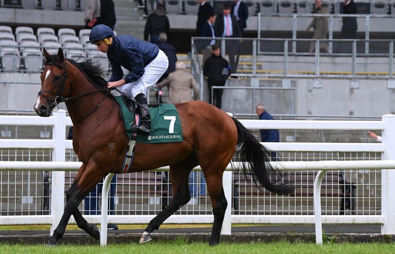 Curragh 24-5-25 Storm Boy and Ryan Moore(Healy Racing)