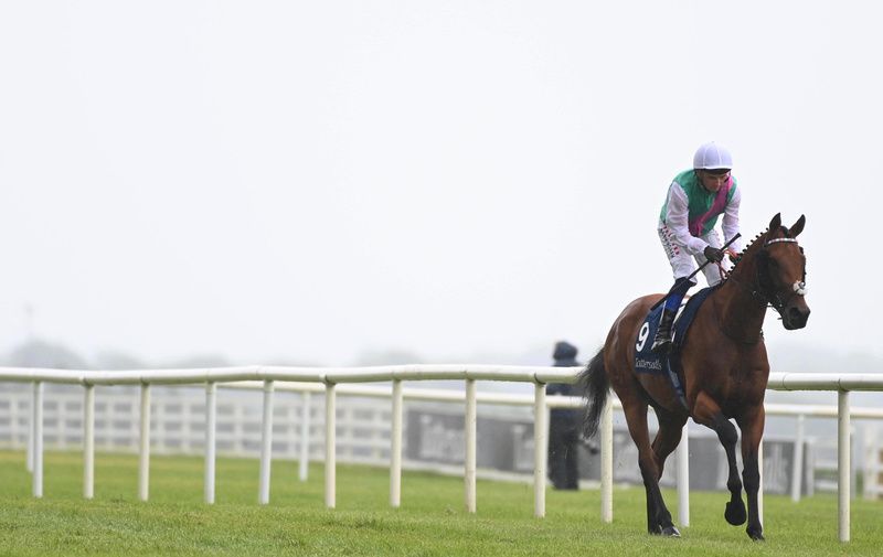 Windlord got back to winning ways at Sandown 