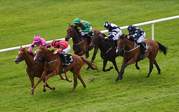 Shiota (red) battles it out with Gloriously Glam