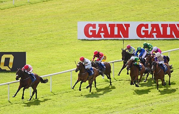 Robbies Rock leads home his rivals under Gary Carroll