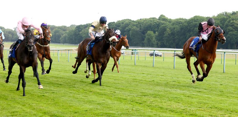 Mgheera and William Buick (pink left) winning The Betfred Temple Stakes Haydock 24.5.24Healy Racing