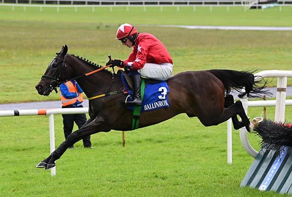 Jesse Evans and Donagh Meyler