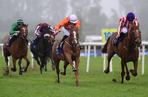 Spanish John, white cap, beats Plunkett Street by three-quarters of a length