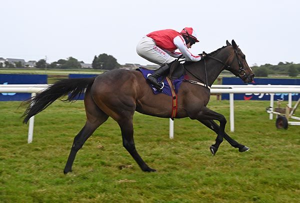 Strong Link in full flow