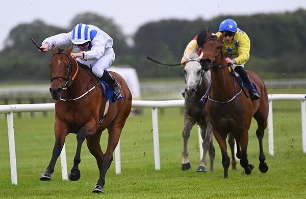 I Bid You Ajou and Gavin Ryan 