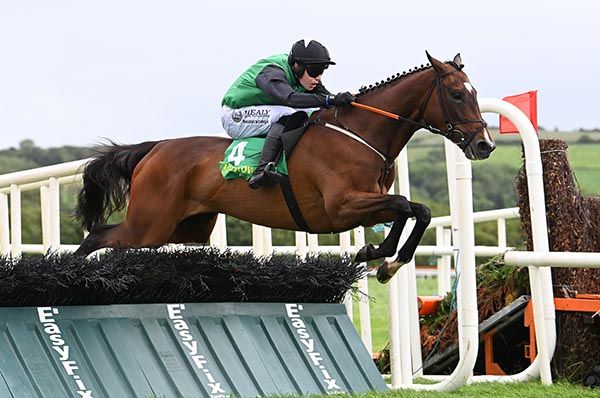 Royal Eagle and Josh Williamson