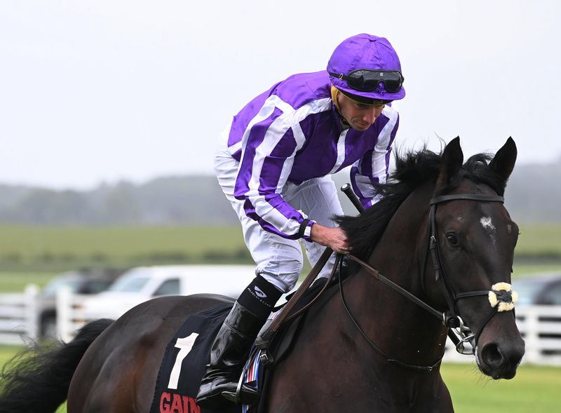 Albert Einstein and Ryan Moore purple win the Marble Hill Stakes at the Curragh