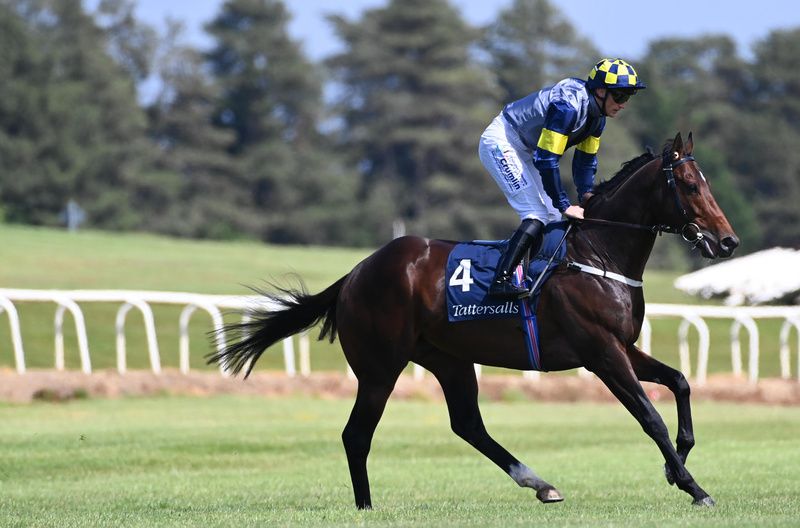 Deepone has been well backed for Tipperary feature race 