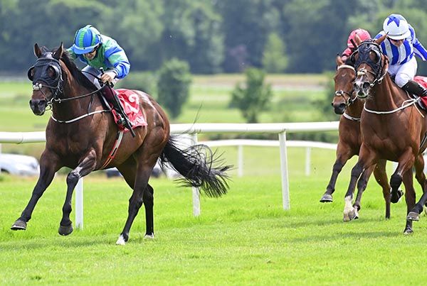 Sierra De Gredos kicks on