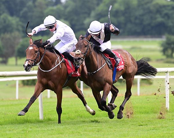 Gotomylovely and Joey Sheridan, left, land a nice pot