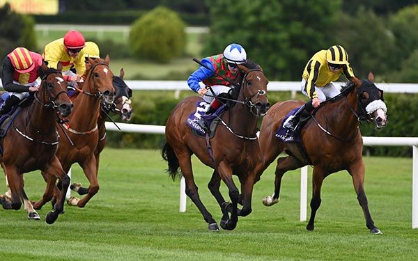 Love Billy Boy and Wayne Hassett. 