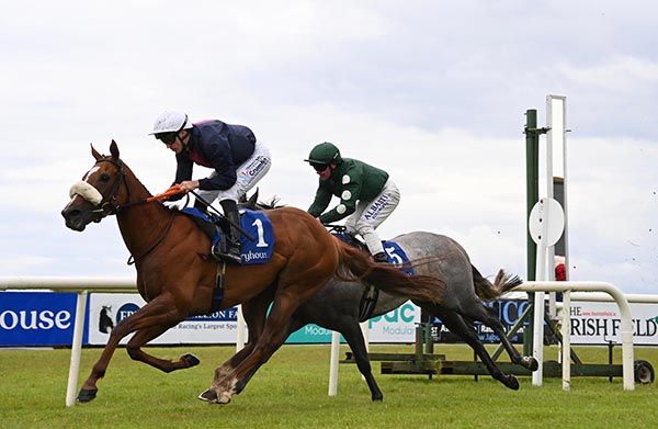 Germanese leads home Knockmark