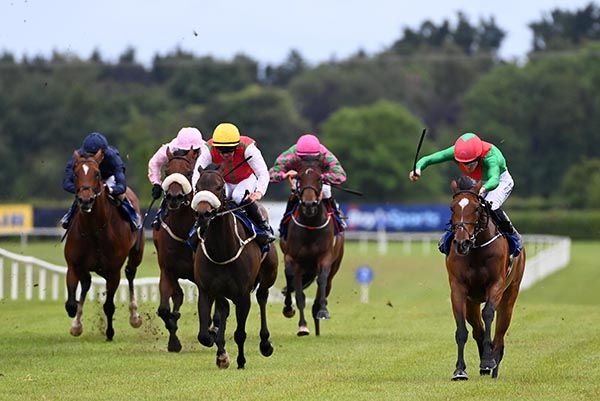 Orchidaceae (right) and Billy Lee