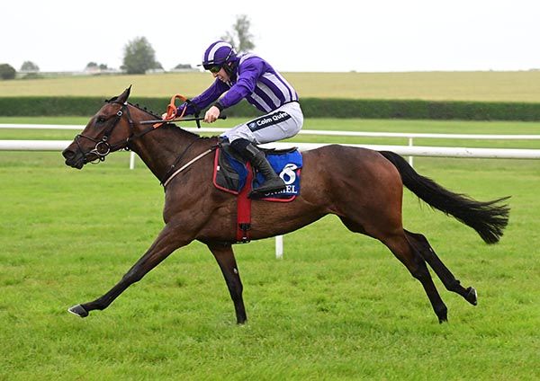 Stede Bonnet is ridden out by Harry Swan