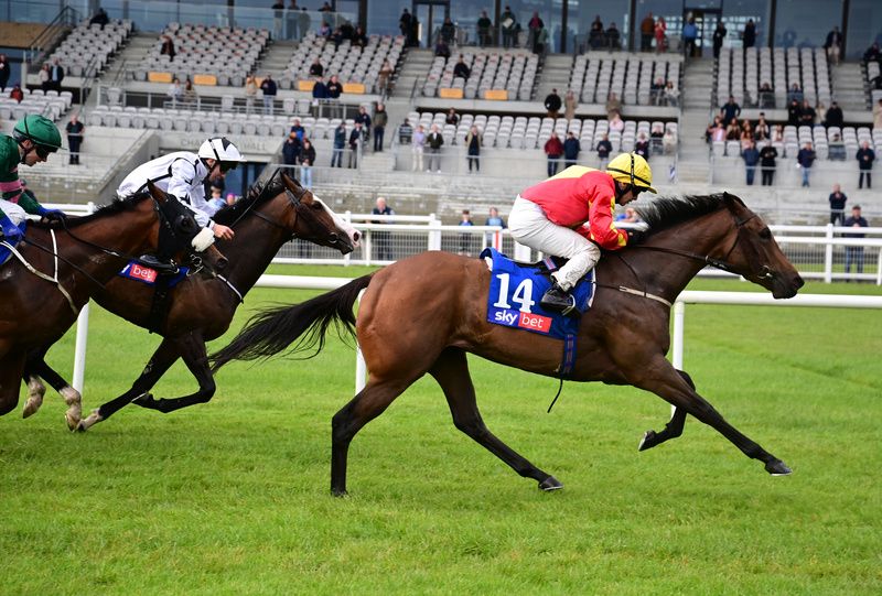 Gazelle D'or won at the Curragh in June