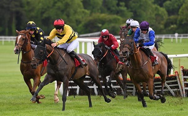 Ballerina Boxer and Ben Harvey lead them home