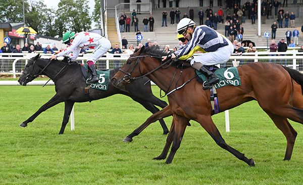 Bellacanta wins under Nathan Crosse