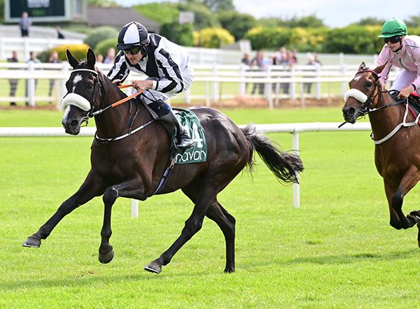 Ragmans Corner wins under Jack Kearney