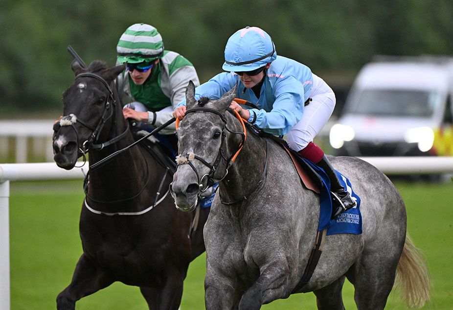 Party Dress and Jessica Maye