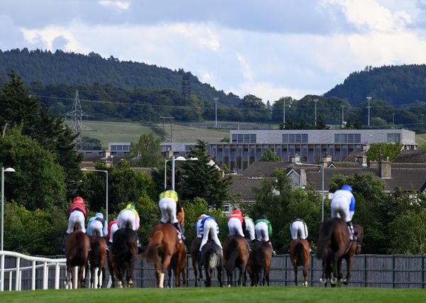 Leopardstown 5-6-25  runnwrs pull up after  the Bulmers Live At Leopardstown Handicap for Dermot Weld(Photo HEALY RACING)