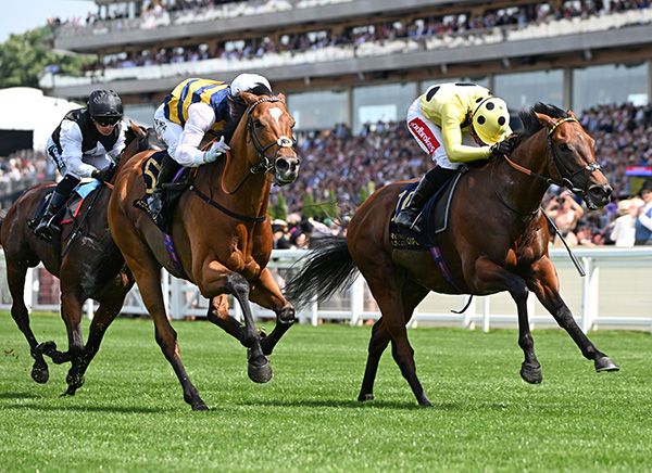 Docklands has big Japanese race as end of season target 