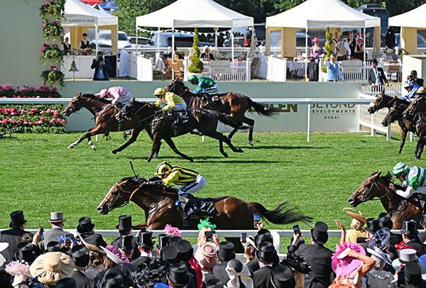 My Cloud puts his reputation on the line at Deauville
