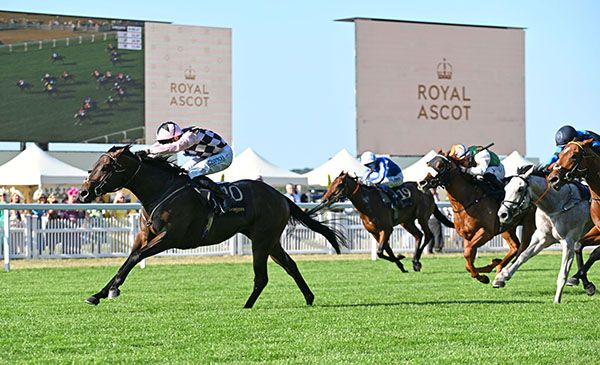Havana Hurricane and Charlie Bishop win the Windsor Castle Stakes Listed 