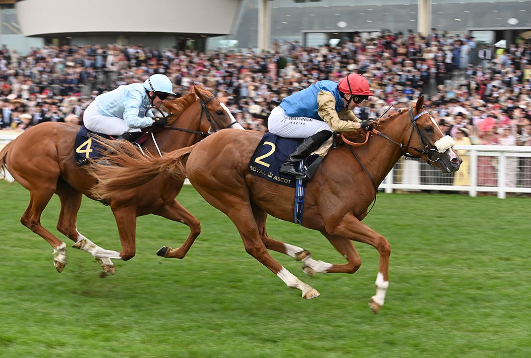 Humidity and James Doyle lead home Thesecretadversary and Seamie Heffernan