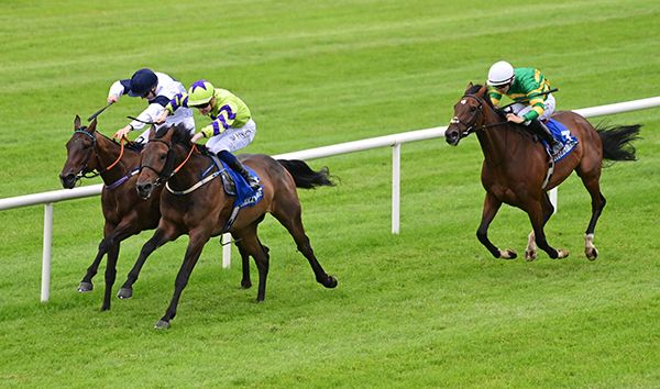 Autumn Twist (nearest) and Molto Amichi battle it out, with Janes Harbour back in third