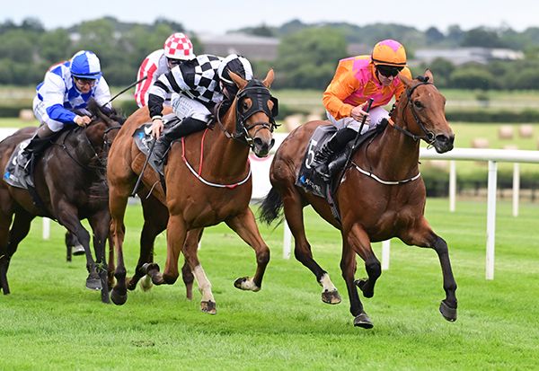  Carrigans Grove and Gary Carroll (right) beat American In Paris 