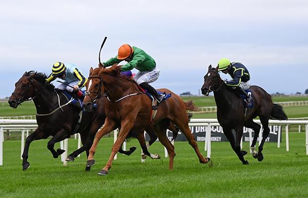 Our Friend Mouse and Billy Lee. 