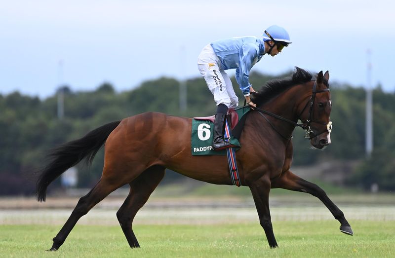 Wemightakedlongway and Dylan Browne McMonagle