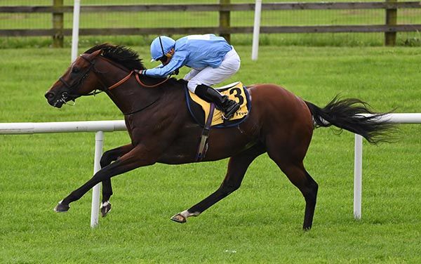 Skukuza and Ryan Moore won the Colm McLoughlin Celebration Stakes 